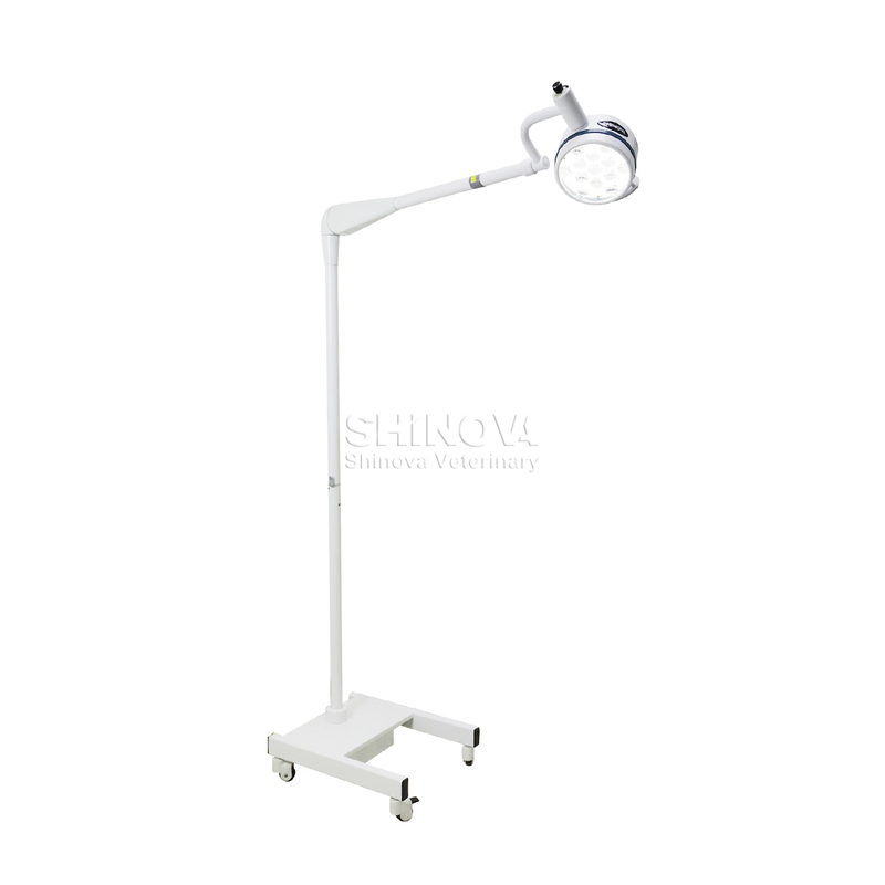 ضوء العلاج LED