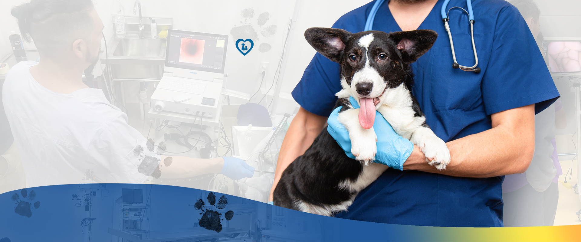 PROFESSIONAL VETERINARY EQUIPMENT MANUFACTURERAnd Clinic Solutions Provider